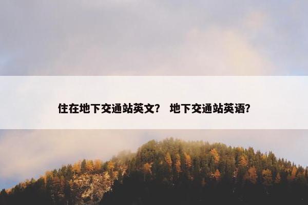 住在地下交通站英文？ 地下交通站英语？
