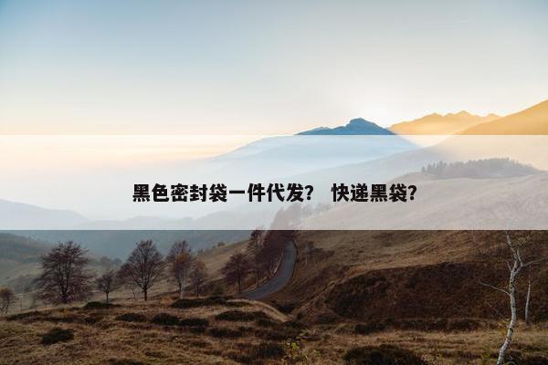 黑色密封袋一件代发？ 快递黑袋？