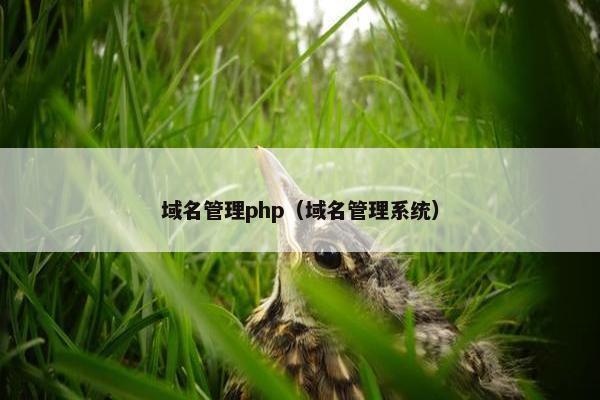 域名管理php（域名管理系统）