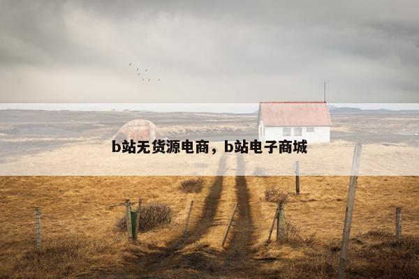 b站无货源电商，b站电子商城