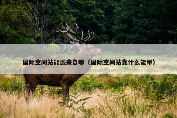 国际空间站能源来自哪（国际空间站靠什么能量）