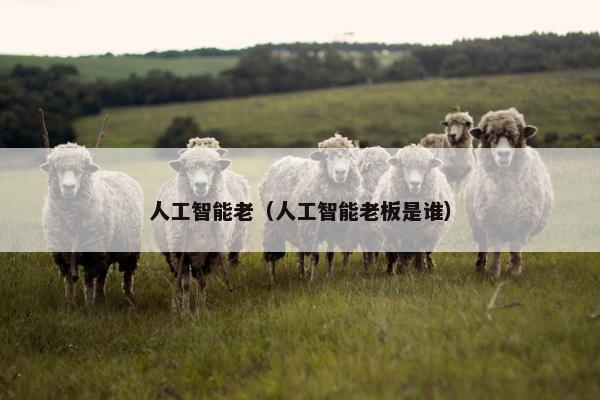 人工智能老（人工智能老板是谁）