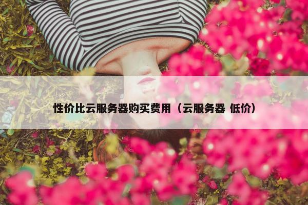 性价比云服务器购买费用（云服务器 低价）