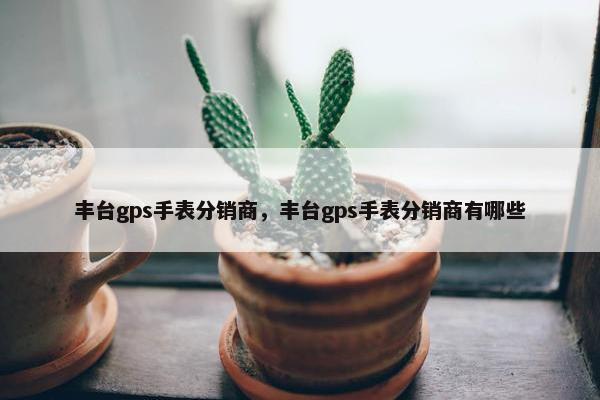 丰台gps手表分销商，丰台gps手表分销商有哪些