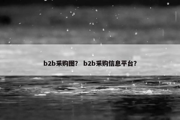 b2b采购图？ b2b采购信息平台？