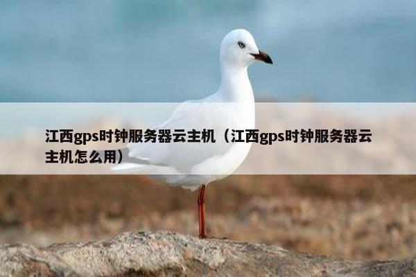 江西gps时钟服务器云主机（江西gps时钟服务器云主机怎么用）