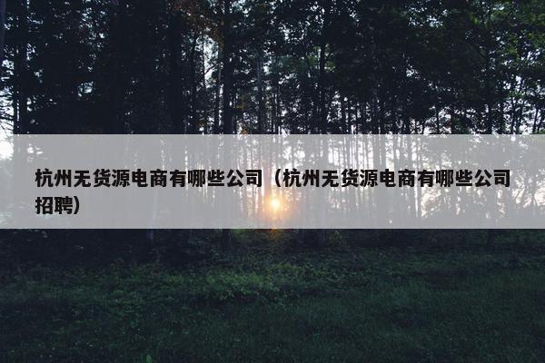 杭州无货源电商有哪些公司（杭州无货源电商有哪些公司招聘）