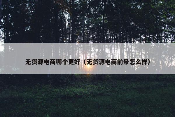无货源电商哪个更好（无货源电商前景怎么样）