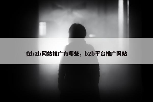 在b2b网站推广有哪些，b2b平台推广网站