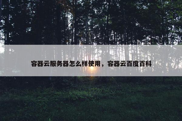 容器云服务器怎么样使用，容器云百度百科