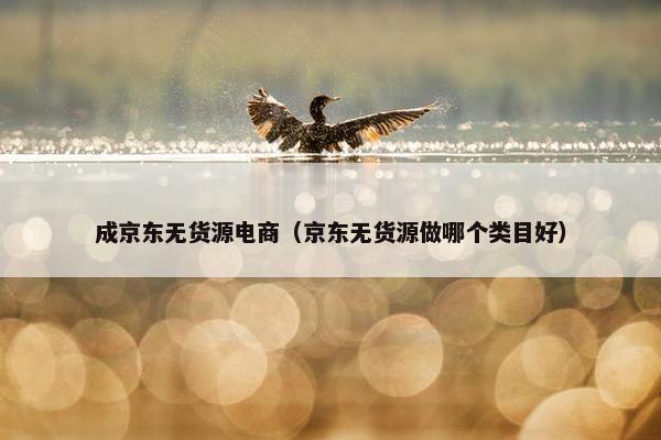 成京东无货源电商（京东无货源做哪个类目好）