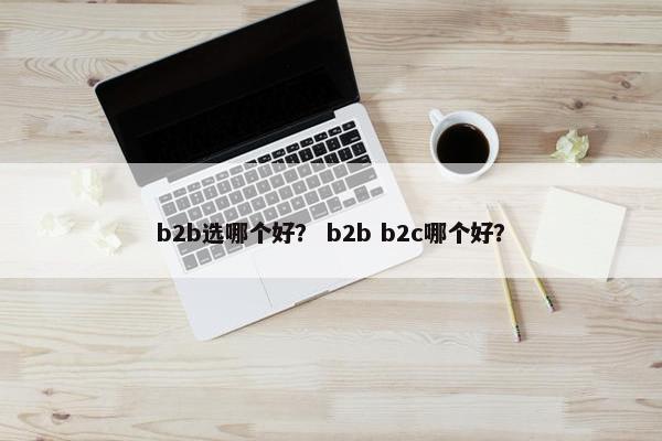 b2b选哪个好？ b2b b2c哪个好？