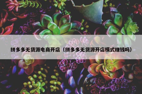 拼多多无货源电商开店（拼多多无货源开店模式赚钱吗）