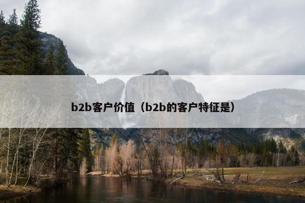 b2b客户价值（b2b的客户特征是）