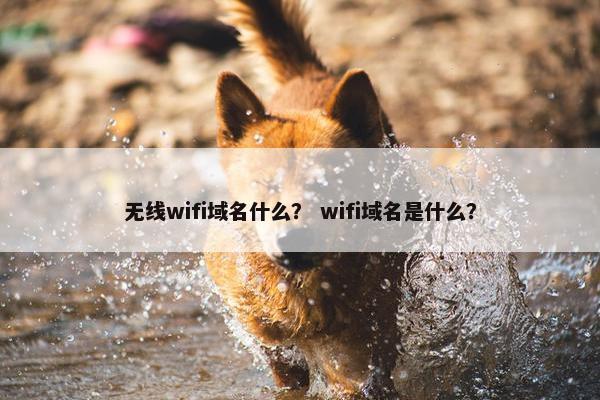 无线wifi域名什么？ wifi域名是什么？