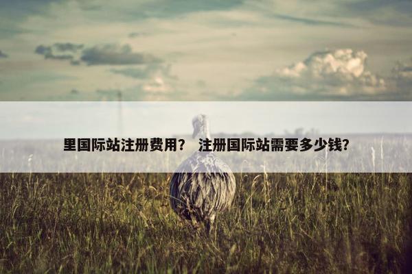 里国际站注册费用？ 注册国际站需要多少钱？