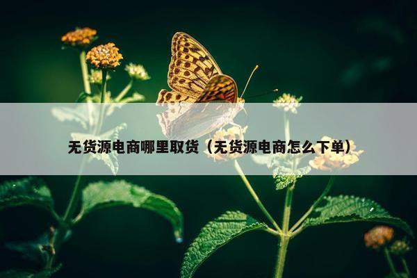 无货源电商哪里取货（无货源电商怎么下单）