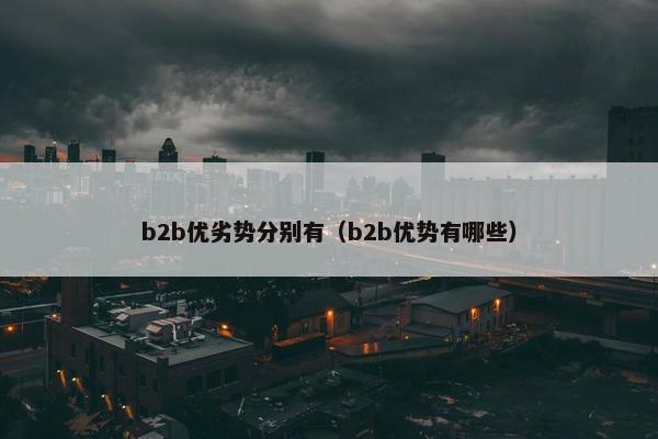 b2b优劣势分别有（b2b优势有哪些）