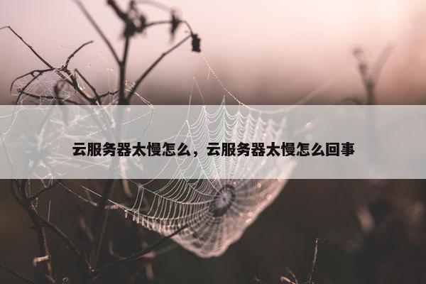 云服务器太慢怎么，云服务器太慢怎么回事