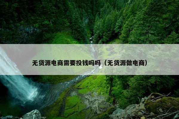 无货源电商需要投钱吗吗（无货源做电商）