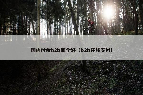 国内付费b2b哪个好（b2b在线支付）