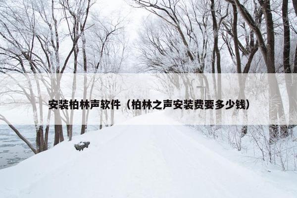 安装柏林声软件（柏林之声安装费要多少钱）