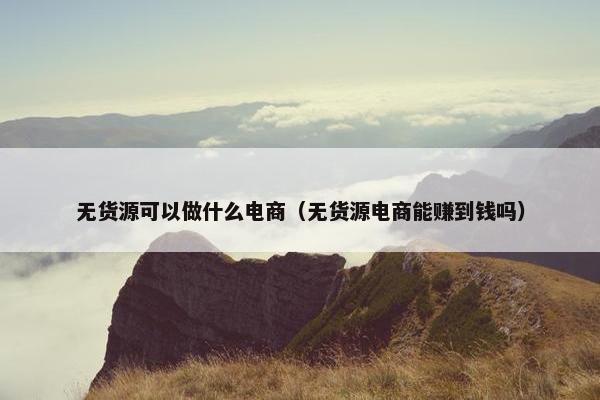 无货源可以做什么电商（无货源电商能赚到钱吗）