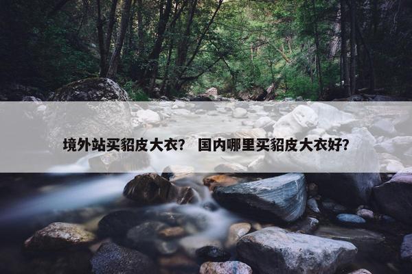 境外站买貂皮大衣？ 国内哪里买貂皮大衣好？