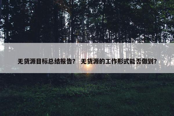 无货源目标总结报告？ 无货源的工作形式能否做到？