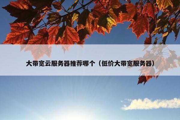 大带宽云服务器推荐哪个（低价大带宽服务器）