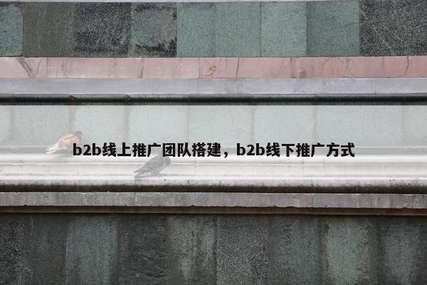 b2b线上推广团队搭建，b2b线下推广方式