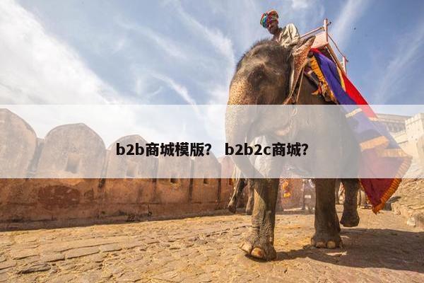 b2b商城模版？ b2b2c商城？