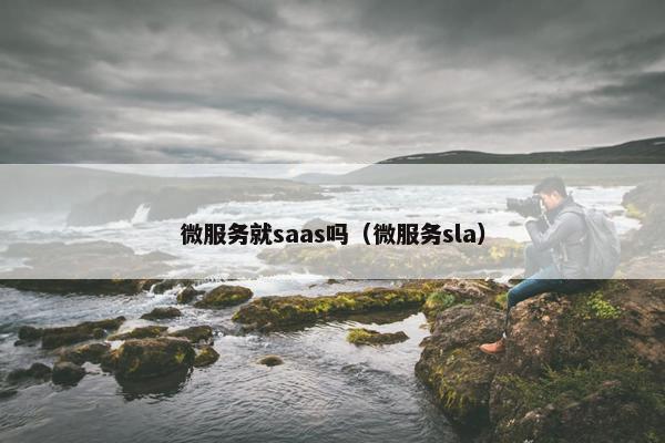 微服务就saas吗（微服务sla）
