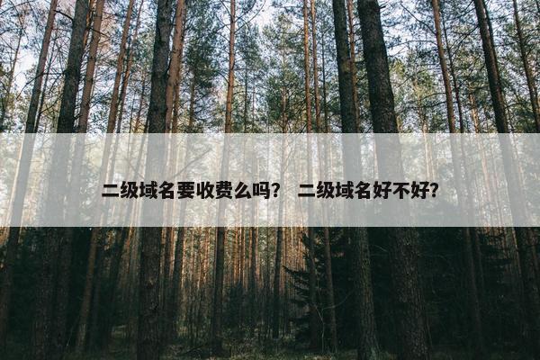 二级域名要收费么吗？ 二级域名好不好？