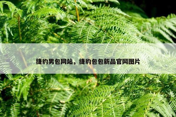 捷豹男包网站，捷豹包包新品官网图片