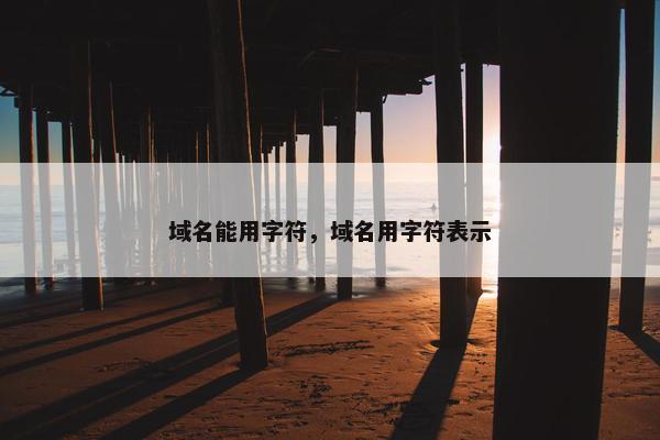 域名能用字符，域名用字符表示