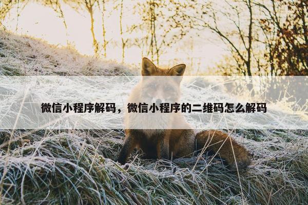 微信小程序解码，微信小程序的二维码怎么解码