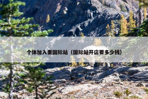 个体加入里国际站（国际站开店要多少钱）