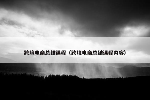 跨境电商总结课程（跨境电商总结课程内容）