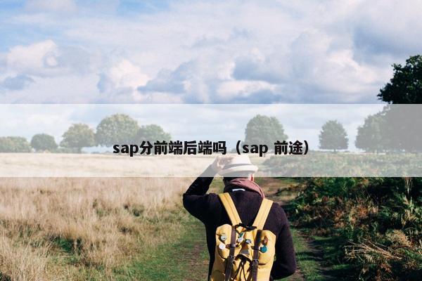 sap分前端后端吗（sap 前途）