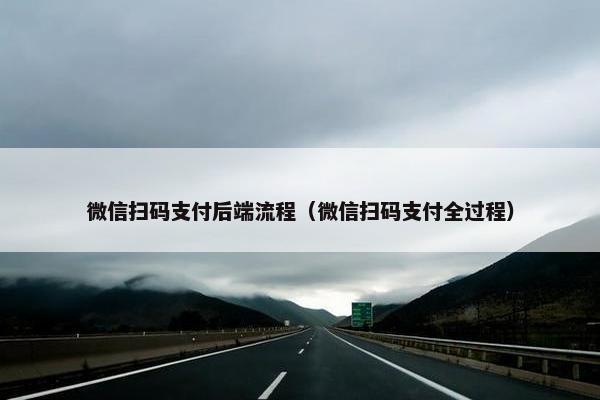 微信扫码支付后端流程（微信扫码支付全过程）