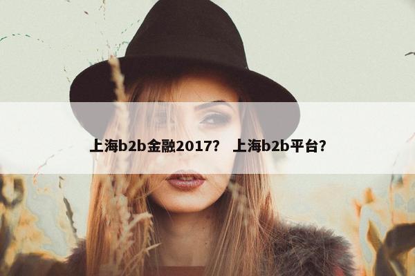 上海b2b金融2017？ 上海b2b平台？
