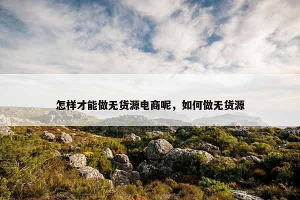 怎样才能做无货源电商呢，如何做无货源