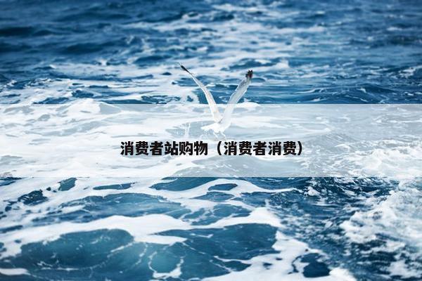 消费者站购物（消费者消费）