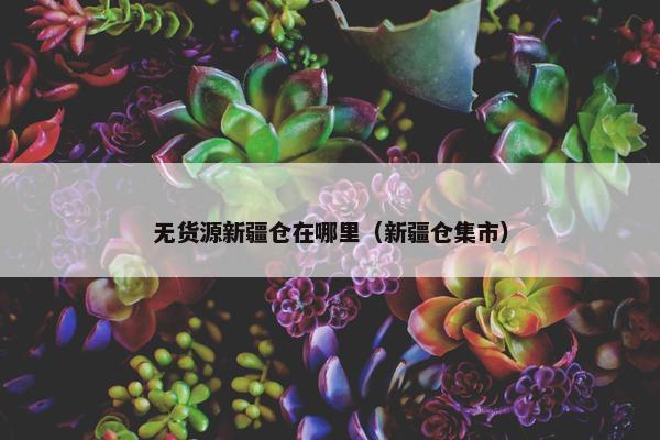 无货源新疆仓在哪里（新疆仓集市）