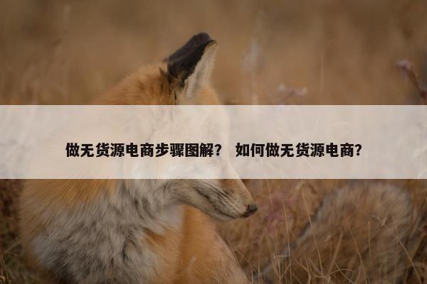 做无货源电商步骤图解？ 如何做无货源电商？