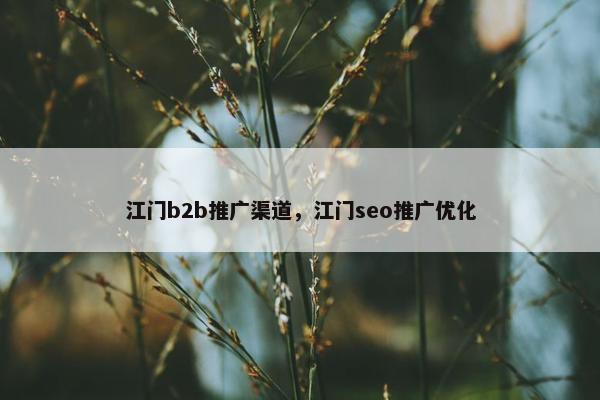 江门b2b推广渠道，江门seo推广优化
