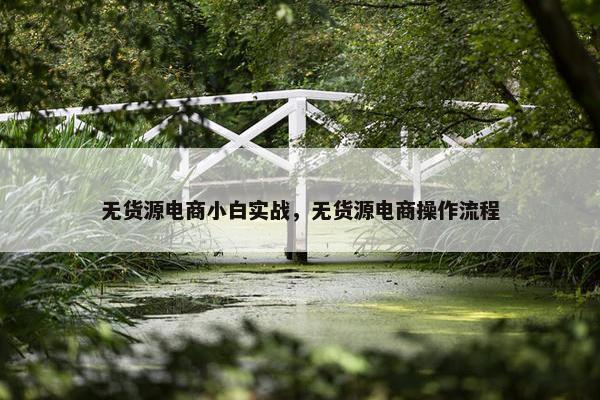 无货源电商小白实战，无货源电商操作流程