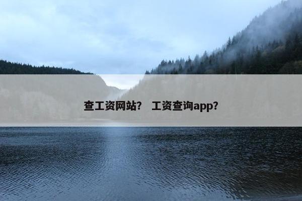 查工资网站？ 工资查询app？