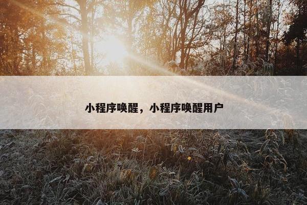 小程序唤醒，小程序唤醒用户